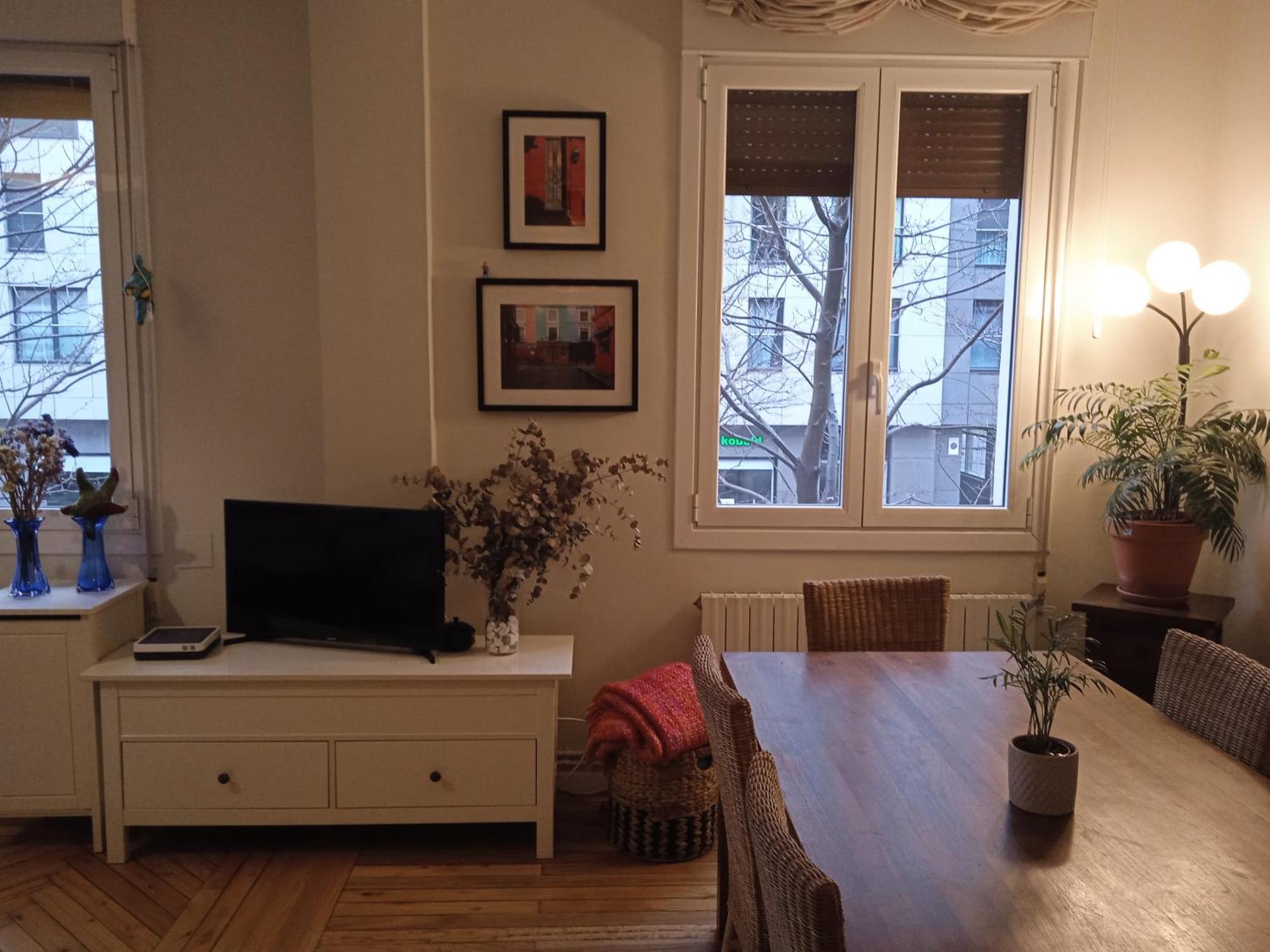 Apartamento Guggenheim Centrico Y Confortable Більбао Екстер'єр фото